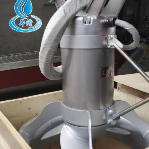 持久耐用 细菌池潜水搅拌机